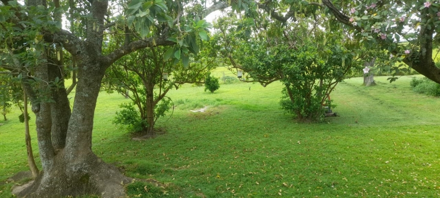 Commercial Property for Sale in Komga Rural Eastern Cape